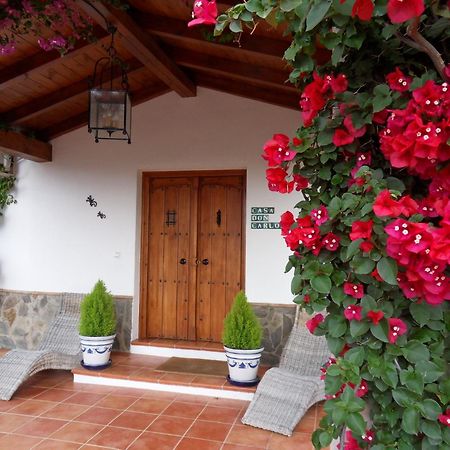 Bed & Breakfast | Guest House Casa Don Carlos Alhaurín el Grande エクステリア 写真