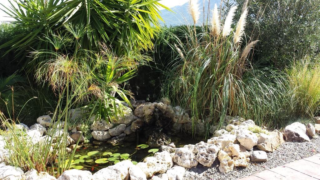 Bed & Breakfast | Guest House Casa Don Carlos Alhaurín el Grande エクステリア 写真