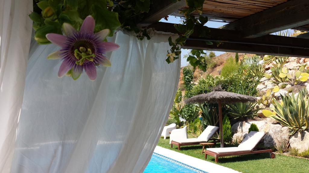 Bed & Breakfast | Guest House Casa Don Carlos Alhaurín el Grande エクステリア 写真
