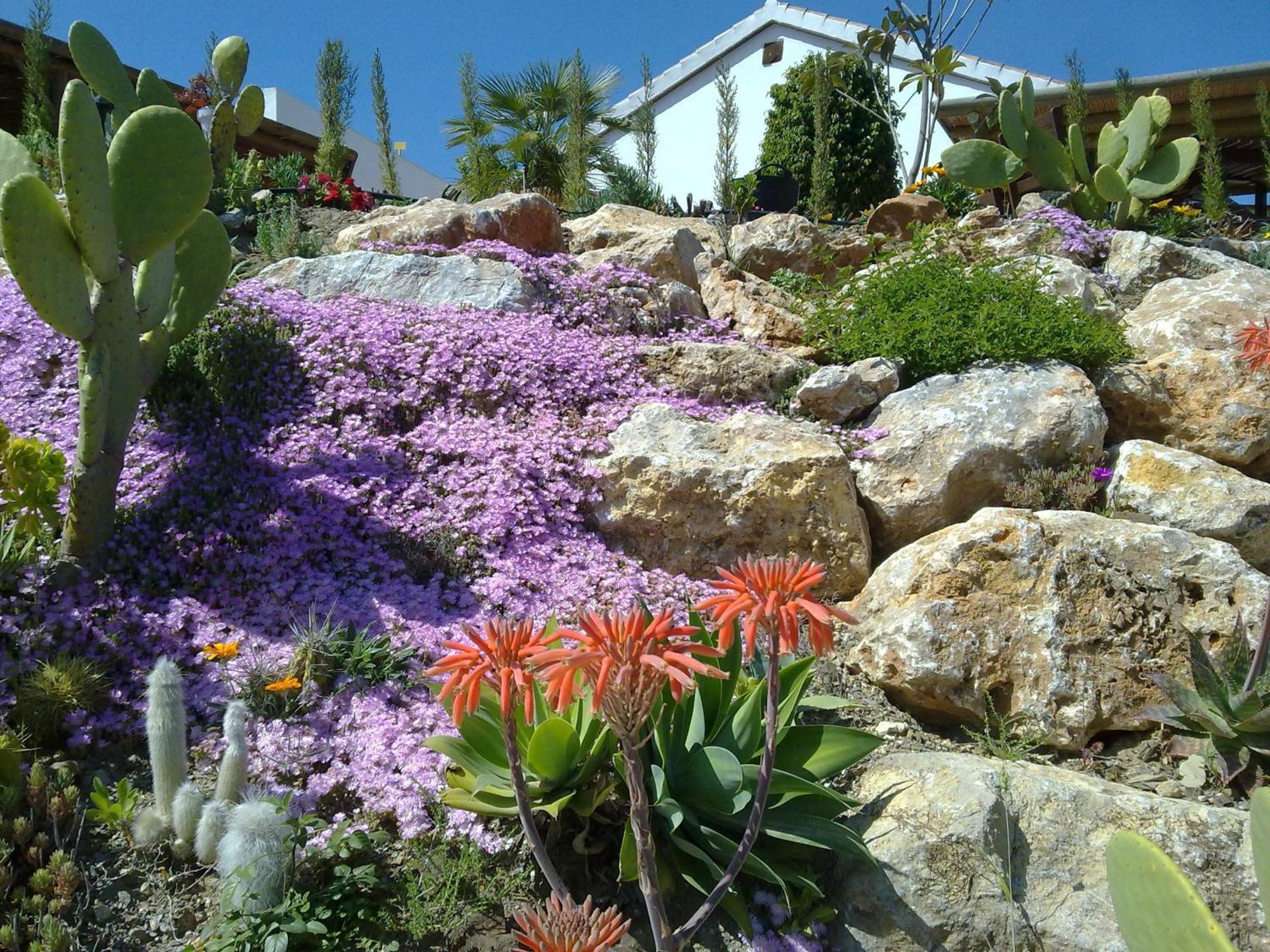 Bed & Breakfast | Guest House Casa Don Carlos Alhaurín el Grande エクステリア 写真