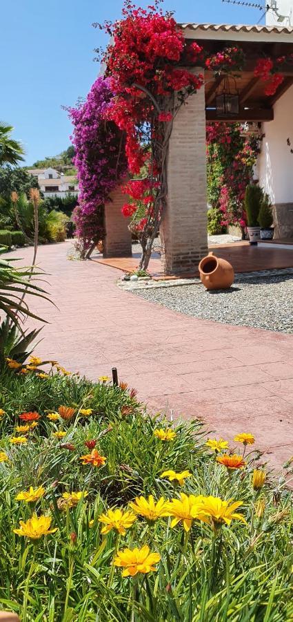 Bed & Breakfast | Guest House Casa Don Carlos Alhaurín el Grande エクステリア 写真